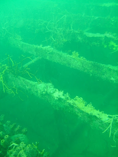 The top of the ship has rotted away