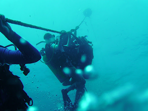 A long, boring, but necessary safety stop, 15 feet below the surface.