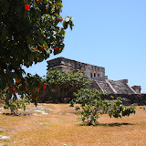 P5011722.JPG