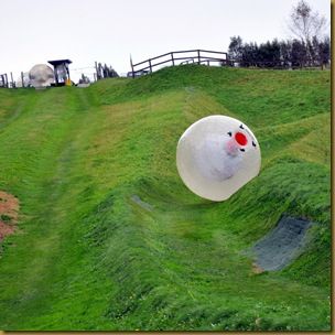 Zorb rolling down hill