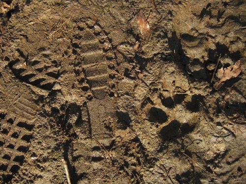 [mudseason72[4].jpg]