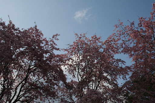 Aa Resimleri (3. Katalog)