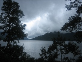 IMG_2136 IMG_2136