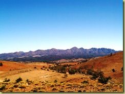 Wilpena Pound from Hocks Lookout