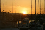 IMG_1504.JPG