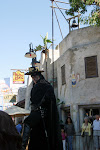 IMG_8068.JPG