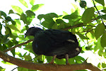 IMG_0484.JPG