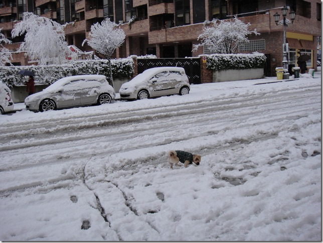 DSC00010 DSC00010