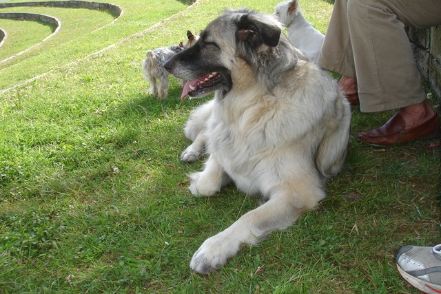 [DSC037263.jpg]