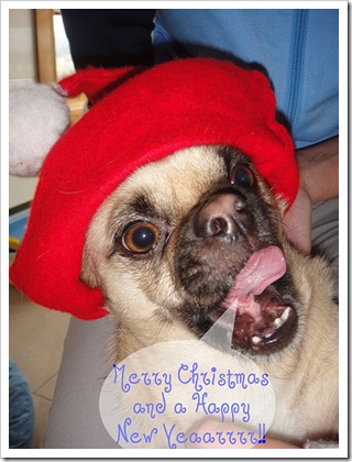 I wish you a Merry Christmaaaas!!! I wish you a Merry Christmaaaas!!!
