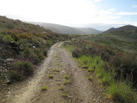 IMG_0021.JPG Photo
