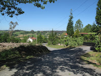 IMG_0308.JPG Photo