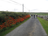 IMG_1702.JPG Photo