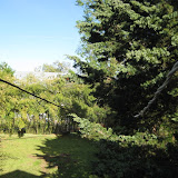 IMG_4300.JPG