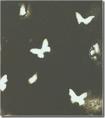 blue%20butterflies%20in%20the%20dark_jpg-for-web-normal