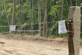 IMG_7522.JPG