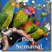 boa-semana