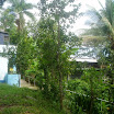 nov12 2010 (12).JPG