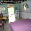 P1010636.jpg