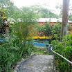 P1010041.jpg