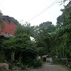 P1030340.JPG