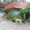 P1030341.JPG