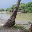 Fishing Trip at SuncampDR (49).JPG