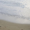 Fishing Trip at SuncampDR (67).JPG
