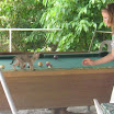 Billard   Pool table (36).jpg