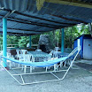 P1010653.jpg
