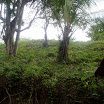 Mountain, property of Suncampdr (11).JPG