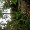 Mountain, property of Suncampdr (14).JPG