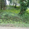 Mountain, property of Suncampdr (25).JPG