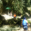 DSCF2236.JPG