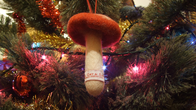 foto fungo albero di natale