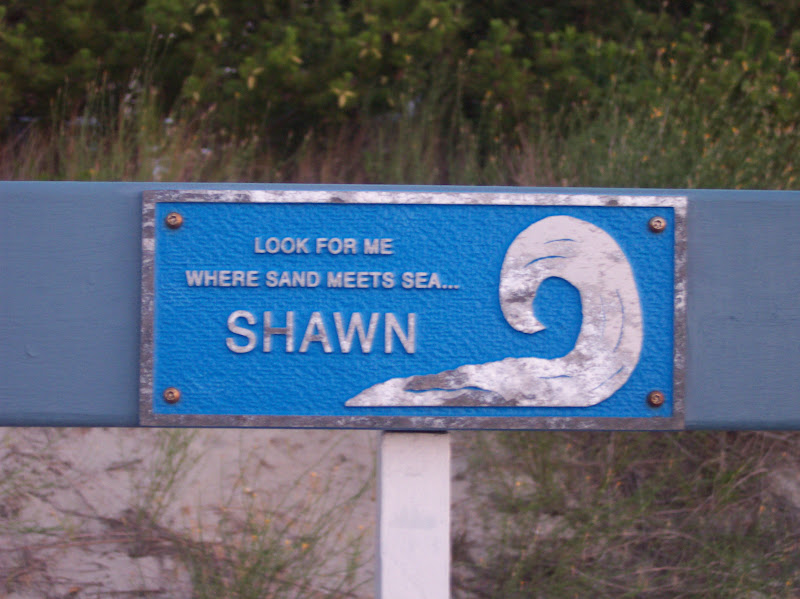 Look for me where the sand meets seaShawn