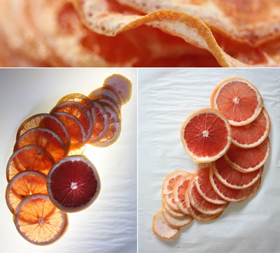 grapefruit04