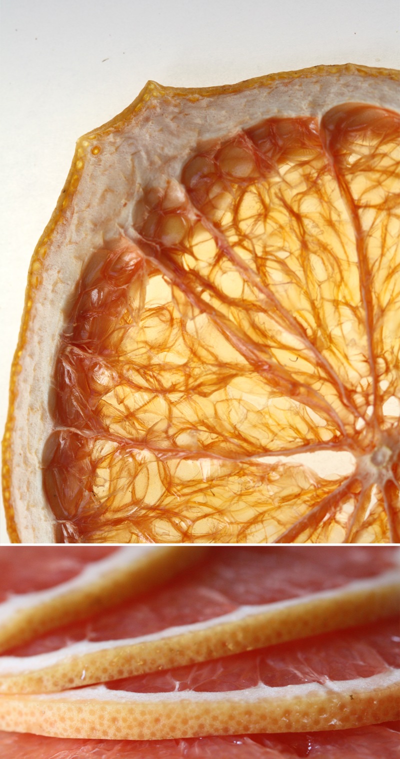 [grapefruit023.jpg]