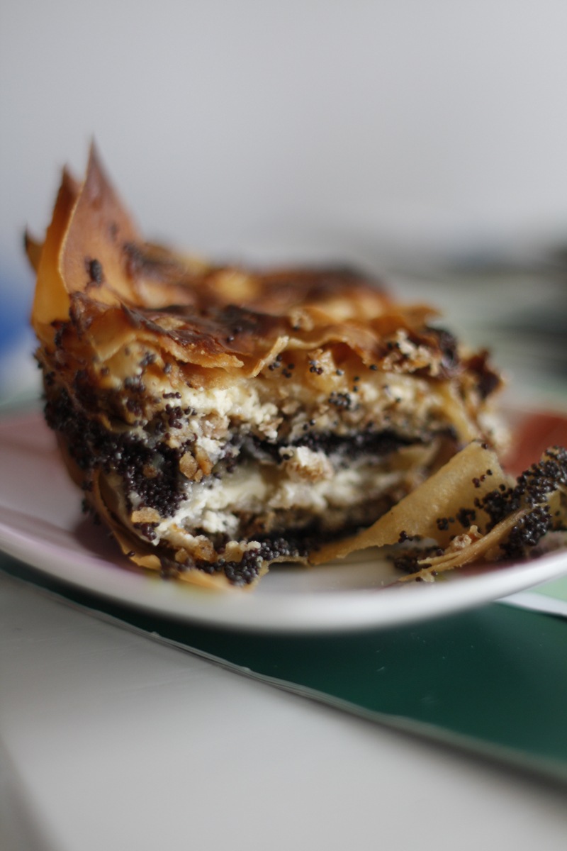 [slovenia563.jpg]