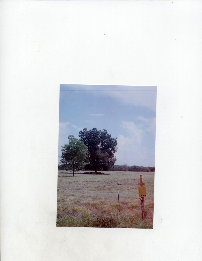 [film057.jpg]