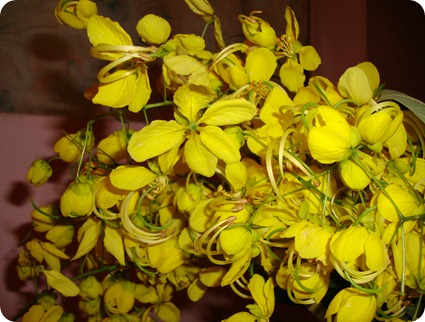 DSC00509