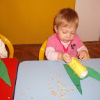 DSCF4880.jpg