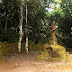 orisha2_osogbo.jpg, big one, innerscrape 09 osogbo
