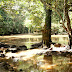 mammywater_osogbo.jpg, The Big Mama herself, innerscrape 09 osogbo