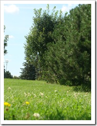 DSC06017
