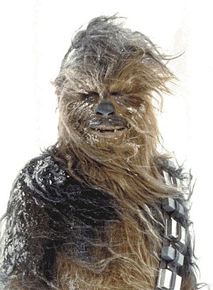 [Chewbacca[5].jpg]
