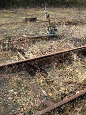 [Sifraco0552.jpg]