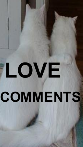 [LOVECOMMENTS[3].png]