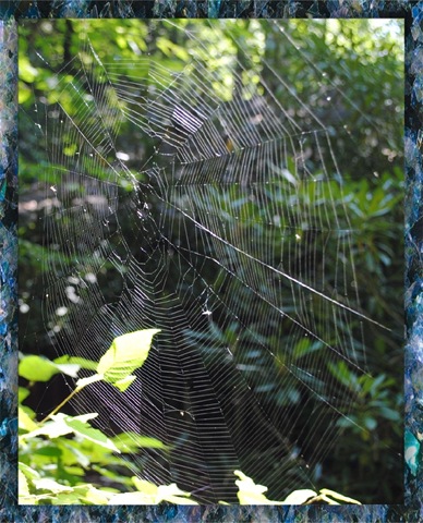 [framedwebcropped[3].jpg]