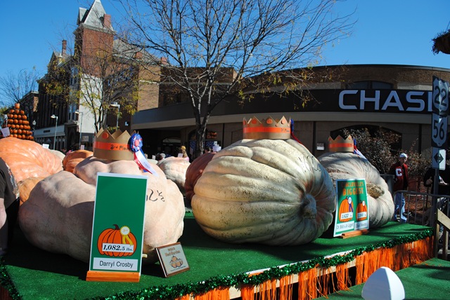 [DSC_0040[3].jpg]